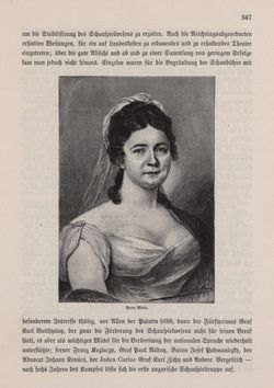 Bild der Seite - 347 - in Die österreichisch-ungarische Monarchie in Wort und Bild - Ungarn (3), Band 12