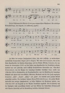 Image of the Page - 391 - in Die österreichisch-ungarische Monarchie in Wort und Bild - Ungarn (3), Volume 12