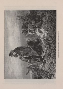 Bild der Seite - 431 - in Die österreichisch-ungarische Monarchie in Wort und Bild - Ungarn (3), Band 12