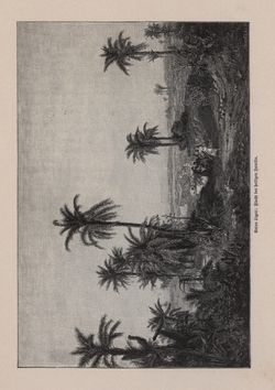Image of the Page - 449 - in Die österreichisch-ungarische Monarchie in Wort und Bild - Ungarn (3), Volume 12