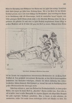 Bild der Seite - 461 - in Die österreichisch-ungarische Monarchie in Wort und Bild - Ungarn (3), Band 12