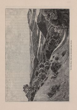 Image of the Page - 535 - in Die österreichisch-ungarische Monarchie in Wort und Bild - Ungarn (3), Volume 12