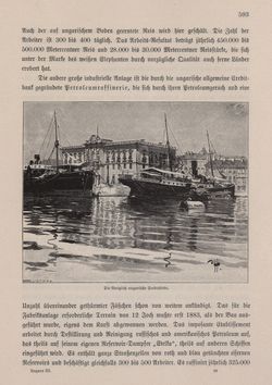 Bild der Seite - 593 - in Die österreichisch-ungarische Monarchie in Wort und Bild - Ungarn (3), Band 12
