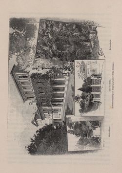 Bild der Seite - 597 - in Die österreichisch-ungarische Monarchie in Wort und Bild - Ungarn (3), Band 12