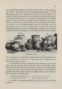 Bild der Seite - 121 - in Die österreichisch-ungarische Monarchie in Wort und Bild - Tirol und Vorarlberg, Band 13
