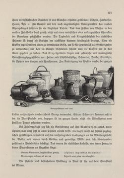 Image of the Page - 121 - in Die österreichisch-ungarische Monarchie in Wort und Bild - Tirol und Vorarlberg, Volume 13