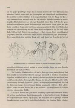 Image of the Page - 282 - in Die österreichisch-ungarische Monarchie in Wort und Bild - Tirol und Vorarlberg, Volume 13