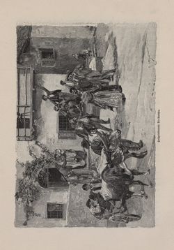 Image of the Page - 305 - in Die österreichisch-ungarische Monarchie in Wort und Bild - Tirol und Vorarlberg, Volume 13