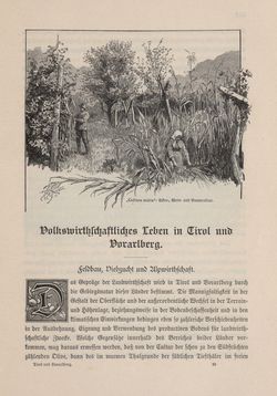Image of the Page - 513 - in Die österreichisch-ungarische Monarchie in Wort und Bild - Tirol und Vorarlberg, Volume 13
