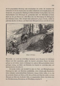 Image of the Page - 515 - in Die österreichisch-ungarische Monarchie in Wort und Bild - Tirol und Vorarlberg, Volume 13