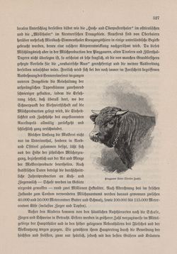 Image of the Page - 527 - in Die österreichisch-ungarische Monarchie in Wort und Bild - Tirol und Vorarlberg, Volume 13