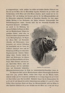Image of the Page - 531 - in Die österreichisch-ungarische Monarchie in Wort und Bild - Tirol und Vorarlberg, Volume 13