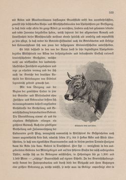Bild der Seite - 533 - in Die österreichisch-ungarische Monarchie in Wort und Bild - Tirol und Vorarlberg, Band 13