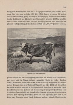 Bild der Seite - 537 - in Die österreichisch-ungarische Monarchie in Wort und Bild - Tirol und Vorarlberg, Band 13