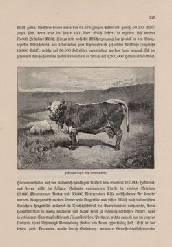 Image of the Page - 537 - in Die österreichisch-ungarische Monarchie in Wort und Bild - Tirol und Vorarlberg, Volume 13
