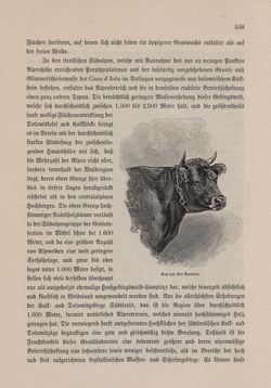 Bild der Seite - 539 - in Die österreichisch-ungarische Monarchie in Wort und Bild - Tirol und Vorarlberg, Band 13