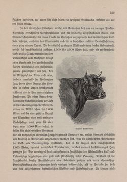 Image of the Page - 539 - in Die österreichisch-ungarische Monarchie in Wort und Bild - Tirol und Vorarlberg, Volume 13