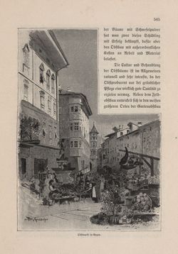 Image of the Page - 565 - in Die österreichisch-ungarische Monarchie in Wort und Bild - Tirol und Vorarlberg, Volume 13