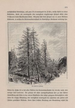 Image of the Page - 573 - in Die österreichisch-ungarische Monarchie in Wort und Bild - Tirol und Vorarlberg, Volume 13