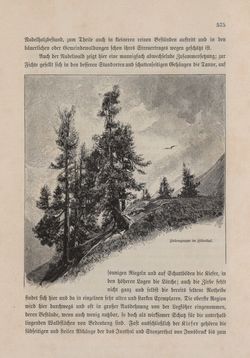 Bild der Seite - 575 - in Die österreichisch-ungarische Monarchie in Wort und Bild - Tirol und Vorarlberg, Band 13