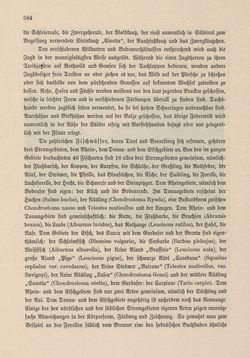 Bild der Seite - 584 - in Die österreichisch-ungarische Monarchie in Wort und Bild - Tirol und Vorarlberg, Band 13