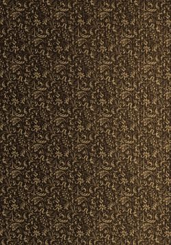 Bild der Seite - eh00001 - in Die österreichisch-ungarische Monarchie in Wort und Bild - Tirol und Vorarlberg, Band 13