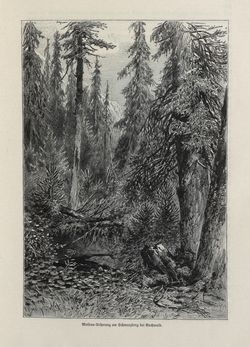 Image of the Page - 99 - in Die österreichisch-ungarische Monarchie in Wort und Bild - Böhmen (1), Volume 14