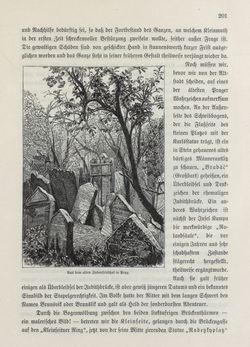 Image of the Page - 201 - in Die österreichisch-ungarische Monarchie in Wort und Bild - Böhmen (1), Volume 14