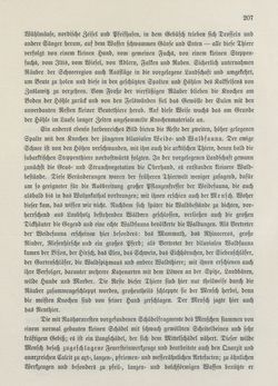 Bild der Seite - 207 - in Die österreichisch-ungarische Monarchie in Wort und Bild - Böhmen (1), Band 14