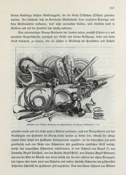 Bild der Seite - 217 - in Die österreichisch-ungarische Monarchie in Wort und Bild - Böhmen (1), Band 14