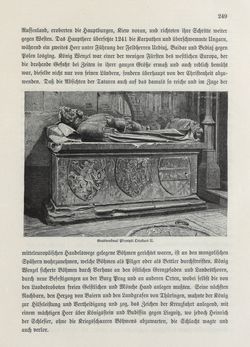 Image of the Page - 249 - in Die österreichisch-ungarische Monarchie in Wort und Bild - Böhmen (1), Volume 14