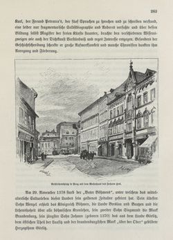 Image of the Page - 263 - in Die österreichisch-ungarische Monarchie in Wort und Bild - Böhmen (1), Volume 14