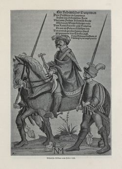 Image of the Page - 269 - in Die österreichisch-ungarische Monarchie in Wort und Bild - Böhmen (1), Volume 14