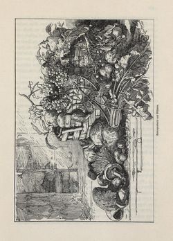 Image of the Page - 469 - in Die österreichisch-ungarische Monarchie in Wort und Bild - Böhmen (2), Volume 15