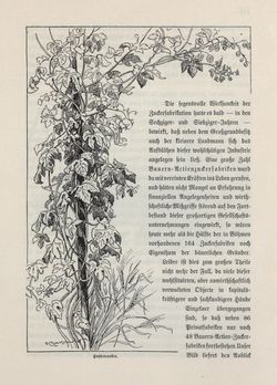 Bild der Seite - 475 - in Die österreichisch-ungarische Monarchie in Wort und Bild - Böhmen (2), Band 15