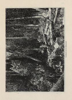 Image of the Page - 505 - in Die österreichisch-ungarische Monarchie in Wort und Bild - Böhmen (2), Volume 15