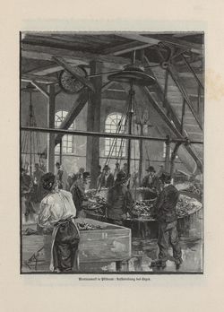 Image of the Page - 535 - in Die österreichisch-ungarische Monarchie in Wort und Bild - Böhmen (2), Volume 15