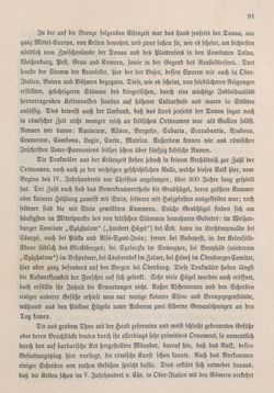 Bild der Seite - 91 - in Die österreichisch-ungarische Monarchie in Wort und Bild - Ungarn (4), Band 16