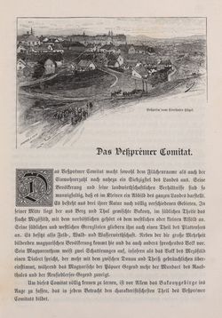 Bild der Seite - 175 - in Die österreichisch-ungarische Monarchie in Wort und Bild - Ungarn (4), Band 16