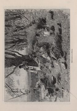 Image of the Page - 205 - in Die österreichisch-ungarische Monarchie in Wort und Bild - Ungarn (4), Volume 16