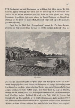 Bild der Seite - 247 - in Die österreichisch-ungarische Monarchie in Wort und Bild - Ungarn (4), Band 16