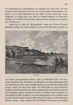 Image of the Page - 247 - in Die österreichisch-ungarische Monarchie in Wort und Bild - Ungarn (4), Volume 16
