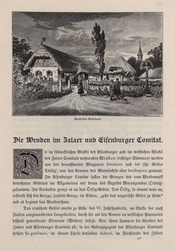 Bild der Seite - 259 - in Die österreichisch-ungarische Monarchie in Wort und Bild - Ungarn (4), Band 16