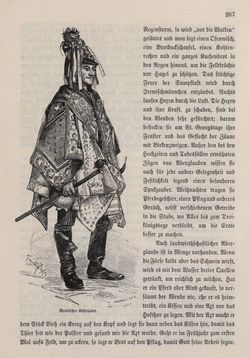 Bild der Seite - 267 - in Die österreichisch-ungarische Monarchie in Wort und Bild - Ungarn (4), Band 16