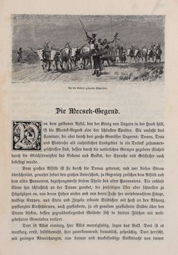 Image of the Page - 271 - in Die österreichisch-ungarische Monarchie in Wort und Bild - Ungarn (4), Volume 16