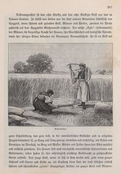 Image of the Page - 287 - in Die österreichisch-ungarische Monarchie in Wort und Bild - Ungarn (4), Volume 16