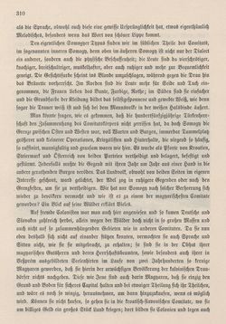 Bild der Seite - 310 - in Die österreichisch-ungarische Monarchie in Wort und Bild - Ungarn (4), Band 16