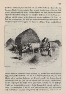 Image of the Page - 313 - in Die österreichisch-ungarische Monarchie in Wort und Bild - Ungarn (4), Volume 16