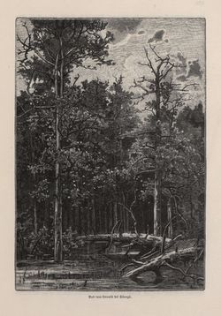 Bild der Seite - 315 - in Die österreichisch-ungarische Monarchie in Wort und Bild - Ungarn (4), Band 16