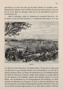 Bild der Seite - 317 - in Die österreichisch-ungarische Monarchie in Wort und Bild - Ungarn (4), Band 16